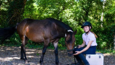 Equine Therapy