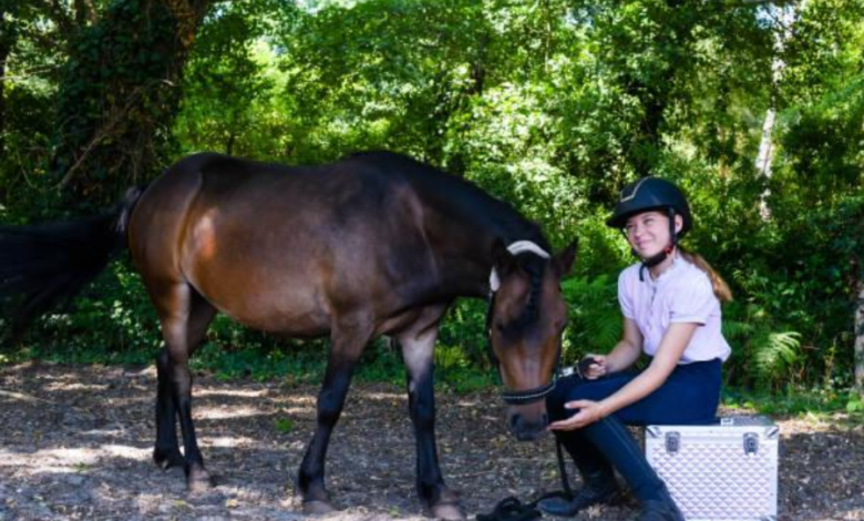 Equine Therapy