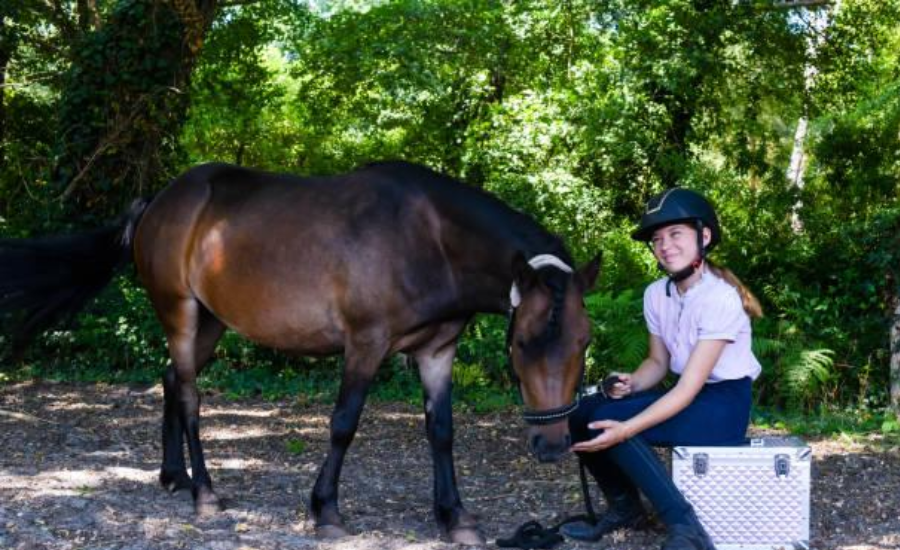 Equine Therapy